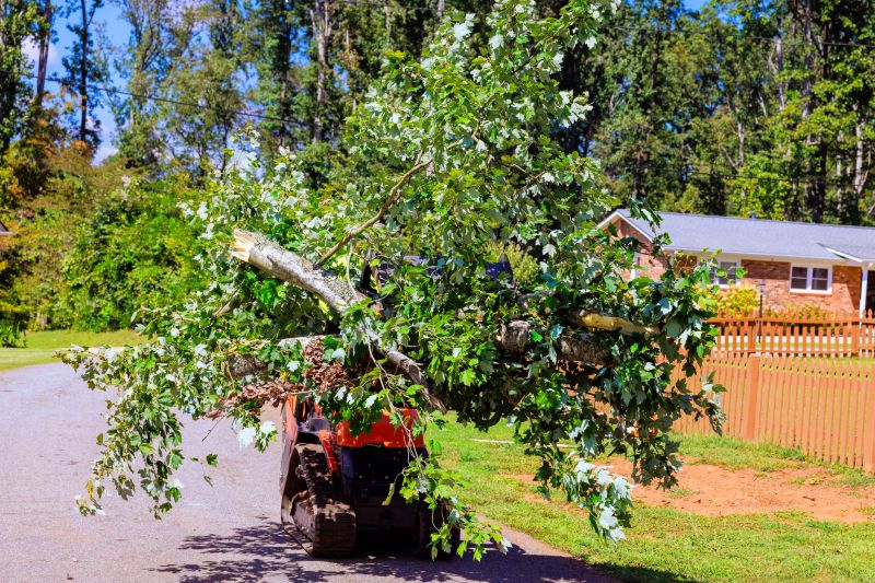 Tree Service in Pottstown, PA